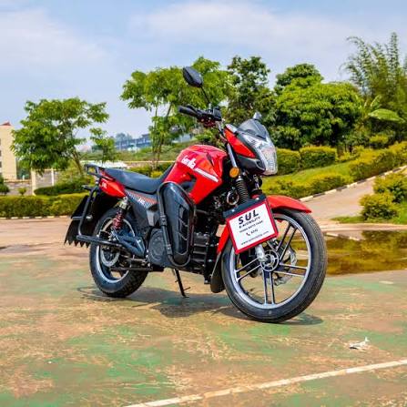 EVP x KUCIKIO - 250 (PARTNERED)